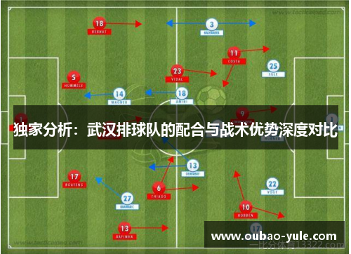 独家分析：武汉排球队的配合与战术优势深度对比